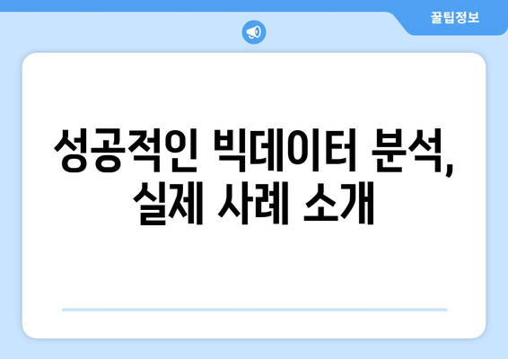 빅데이터 분석 기술과 비즈니스 활용 전략